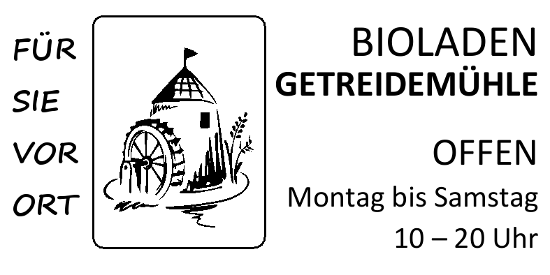Vorlage
