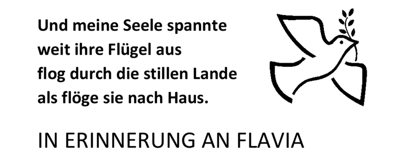 Vorlage